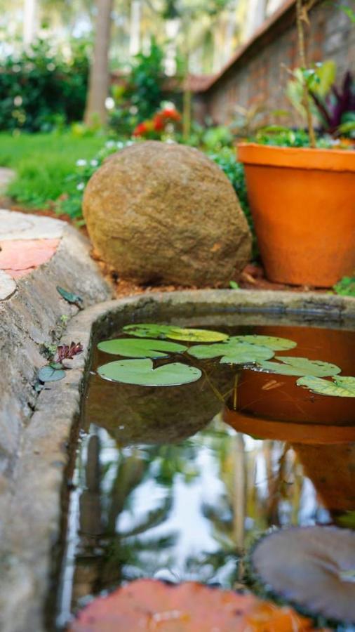 Dr Nisha'S Vedic Remedies Thiruvananthapuram Kültér fotó